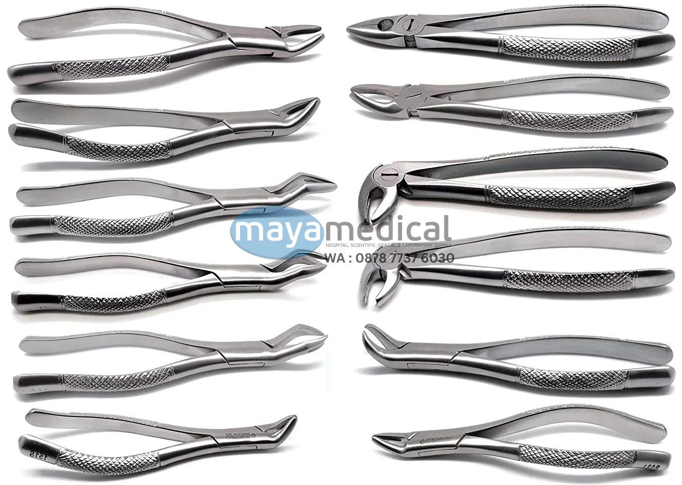 Dental Forceps